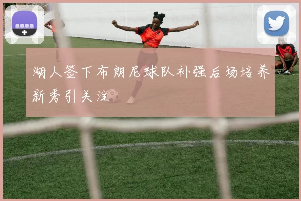 湖人签下布朗尼球队补强后场培养新秀引关注