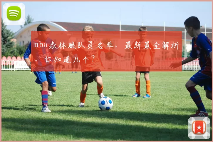 nba森林狼队员名单，最新最全解析，你知道几个？
