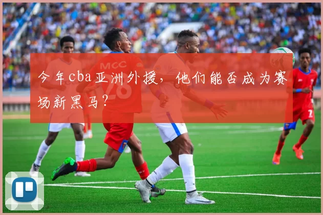 今年cba亚洲外援，他们能否成为赛场新黑马？