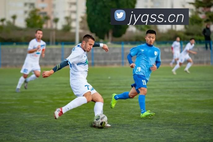 多媒体互动体验